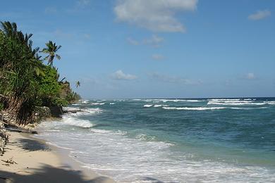 Sandee - Country / Kiribati