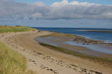 Sandee Ross Beach Photo