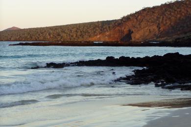 Sandee Cormorant Point Photo