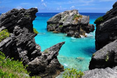 Sandee Jobson's Cove And Point