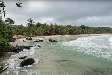 Sandee - Red Frog Beach