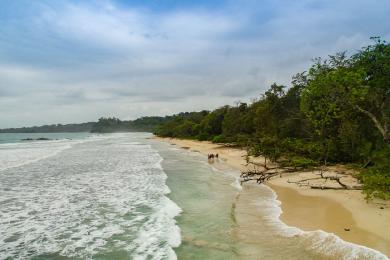 Sandee Red Frog Beach Photo