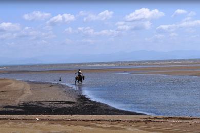 Sandee Lagareto Beach