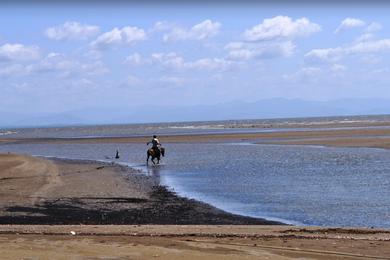 Sandee - Lagareto Beach