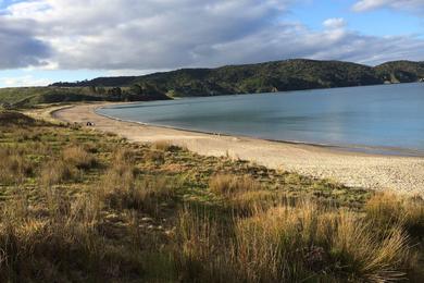 Sandee Bland Bay