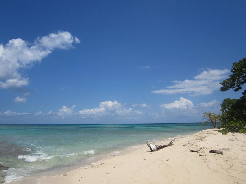 Sandee Buck Island Beach Photo