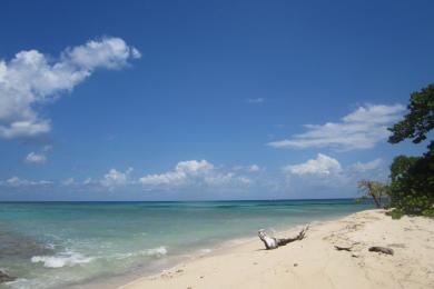 Sandee Buck Island Beach Photo