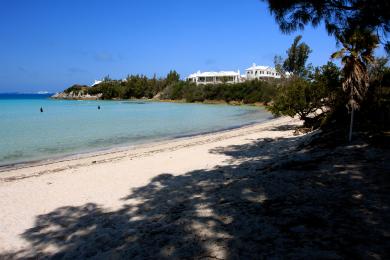 Sandee Bailey's Bay
