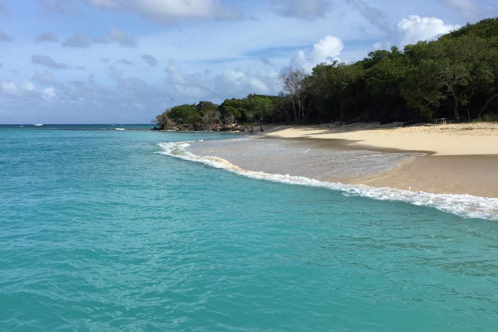 Sandee - Buck Island Beach