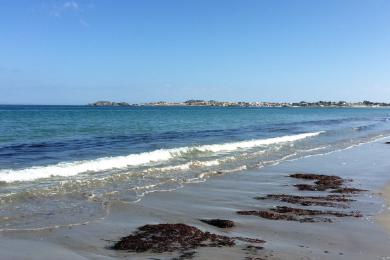 Sandee Las Machas Beach