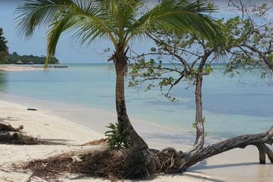 Sandee Coconut Coast Beach Photo