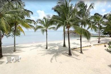 Sandee - Coconut Coast Beach