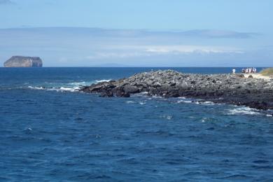 Sandee North Seymour Island Beach Photo