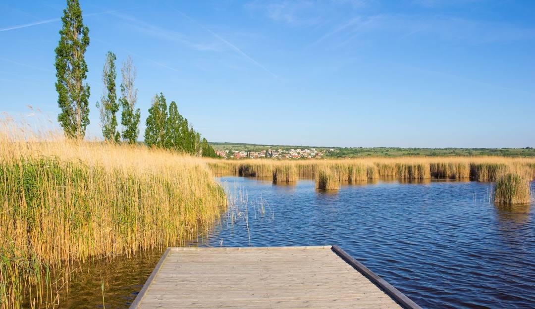 Mörbisch am See Photo - Sandee