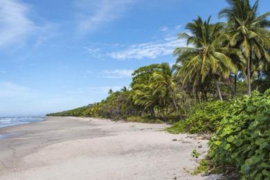 Sandee - Playa Las Suecas