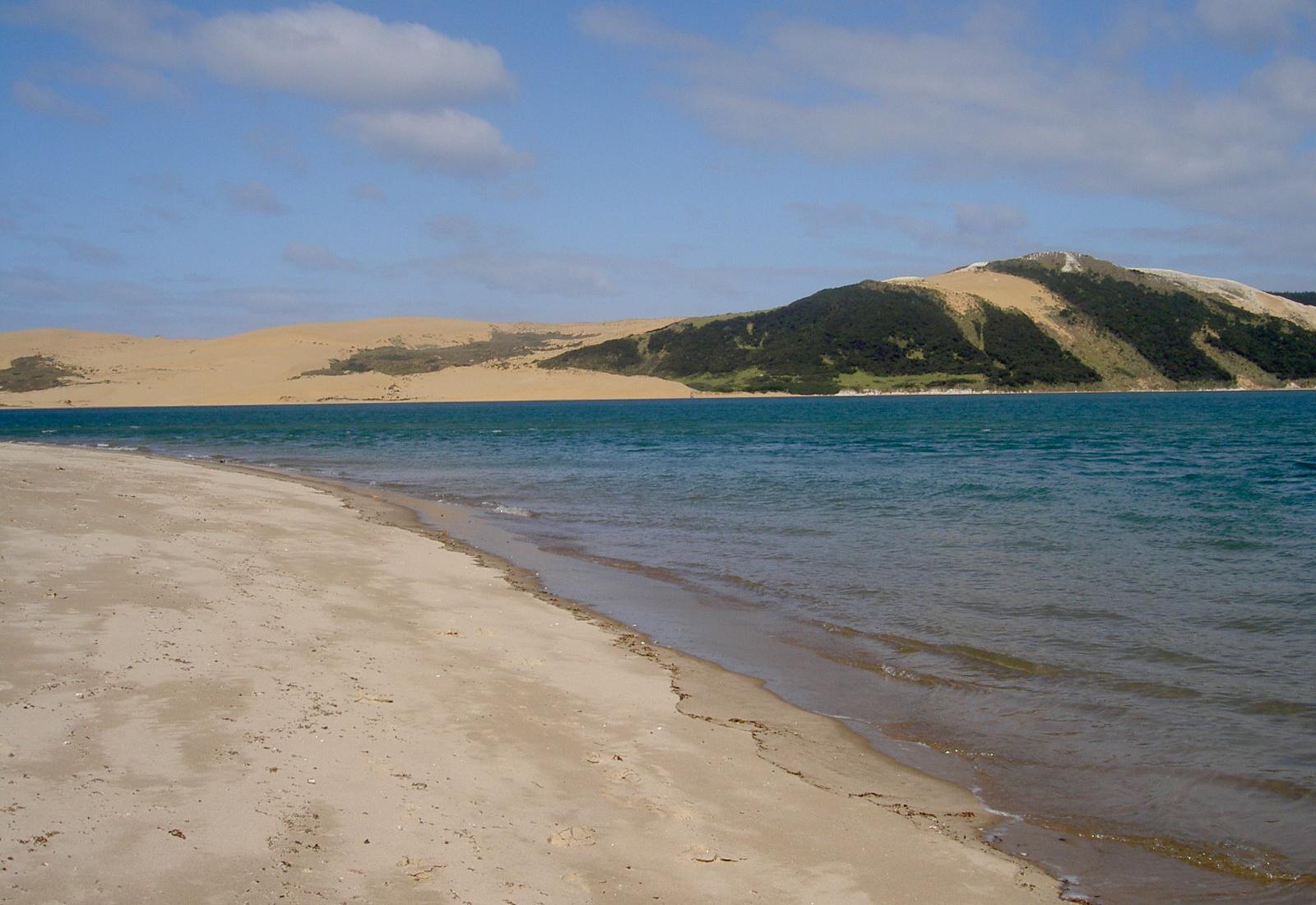 Sandee - Opononi Beach