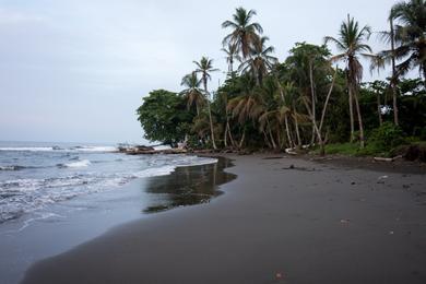Sandee Playa Negra