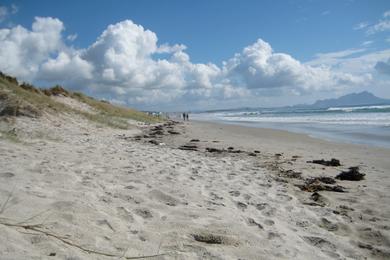 Sandee Uretiti Beach