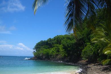 Sandee - Isla Boca Brava