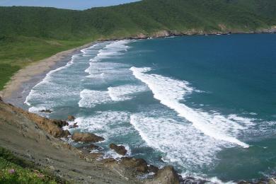 Sandee Playa Brava
