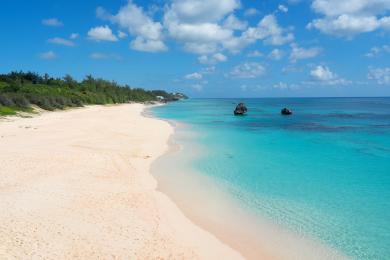 Sandee Pink Beach Photo