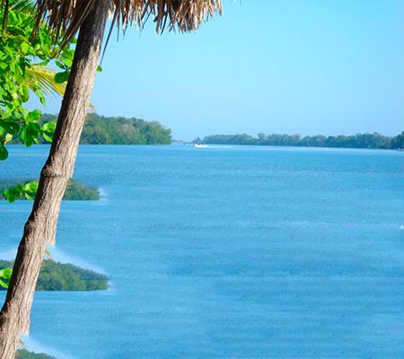 Sandee - HomePage / Chiapas