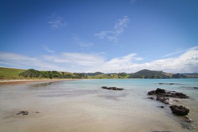 Sandee Mimiwhangata Bay Photo