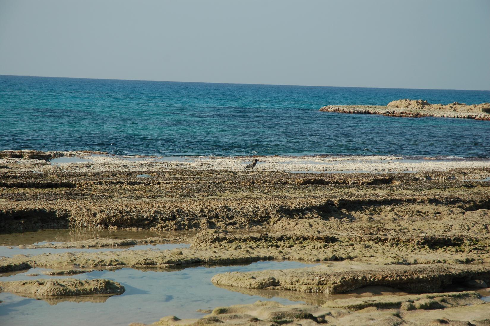 Sandee - Achziv Beach