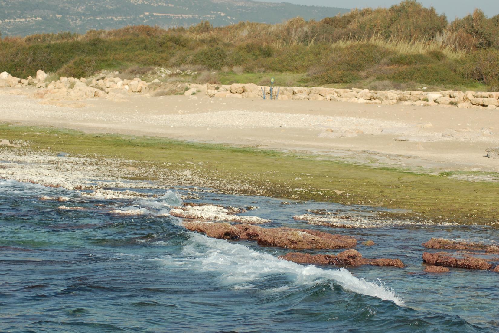 Sandee - Achziv Beach