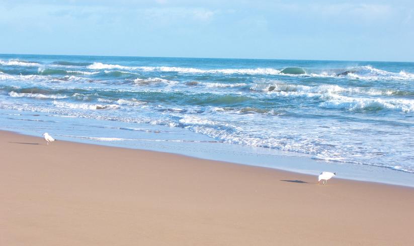 Sandee Saidia Beach