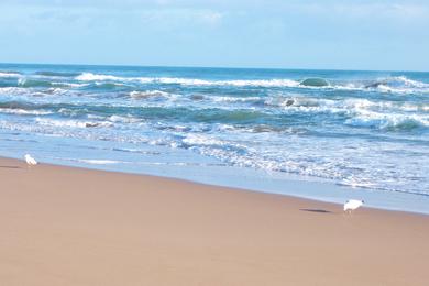 Sandee Saidia Beach