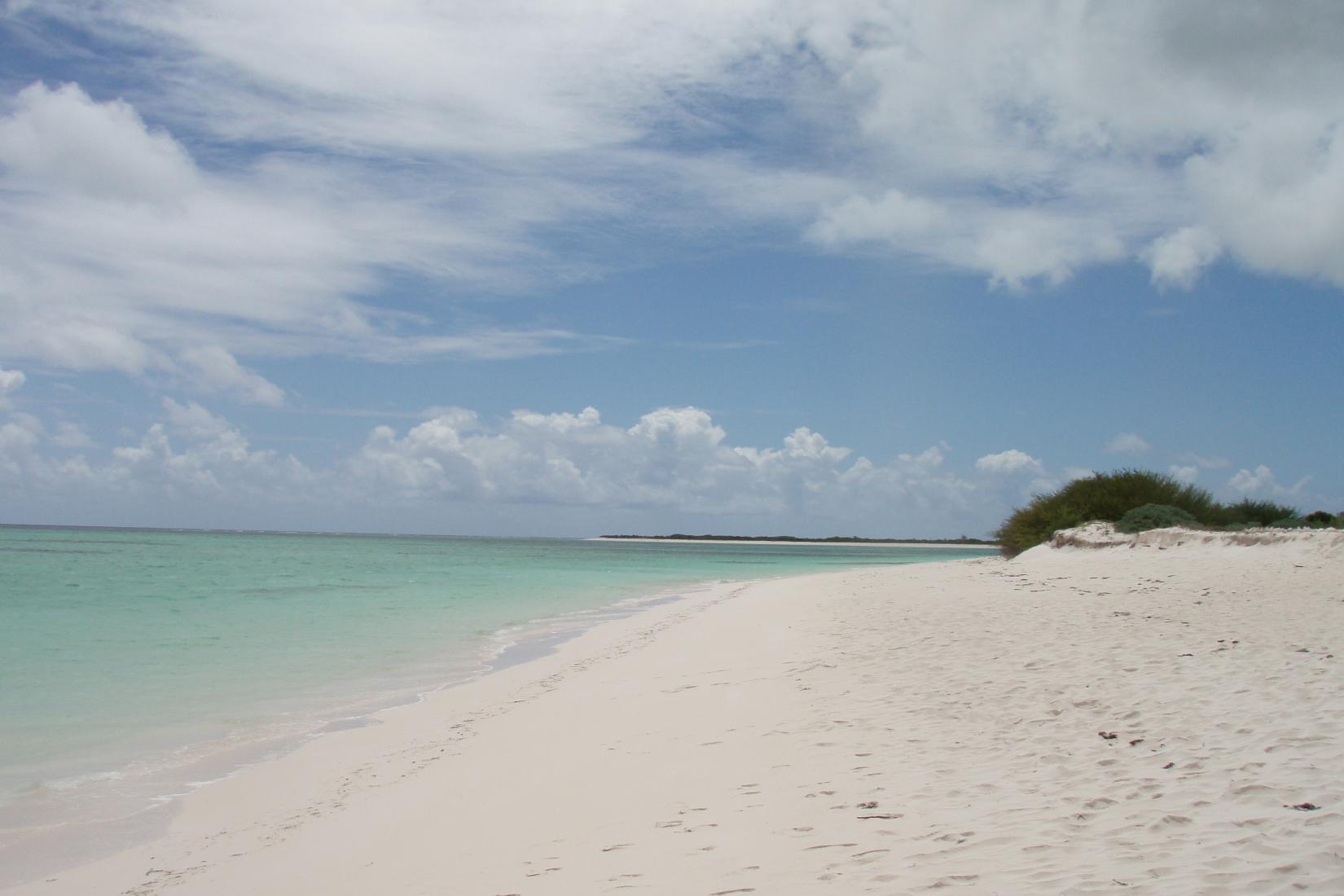 Sandee - Cow Wreck Beach