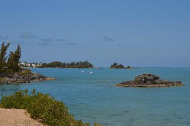 Sandee Swan's Bay