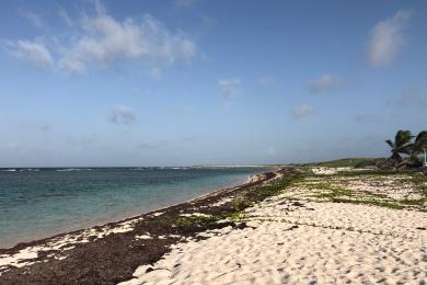 Sandee Loblolly Bay