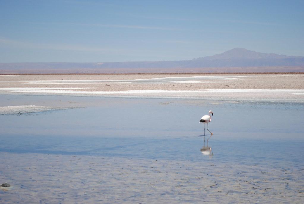 Sandee - Atacama Beach