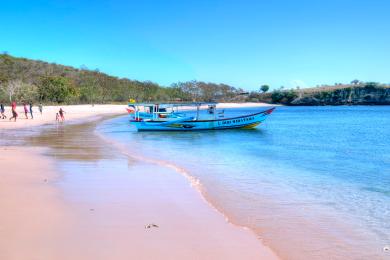 Sandee Pink Beach Photo