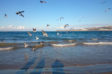 Sandee Plage Municipale