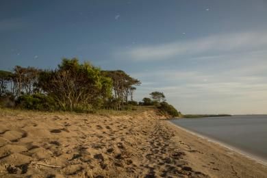 Sandee - Playa Jose Ignacio