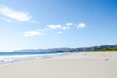 Sandee Playa Naranjo