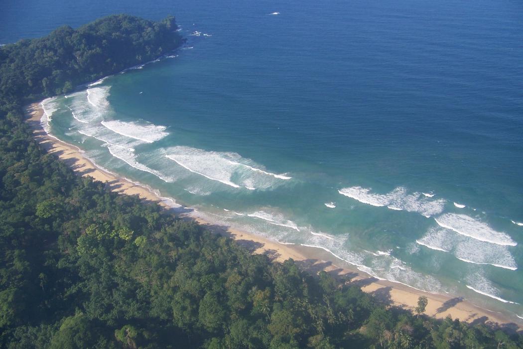 Sandee Bluff Beach Photo