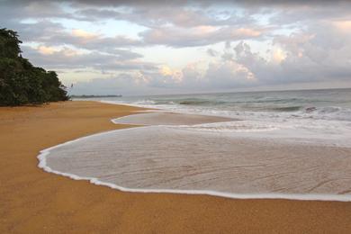 Sandee - Bluff Beach