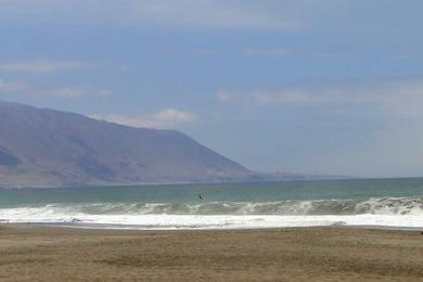 Sandee Brava Beach- Iquique Photo