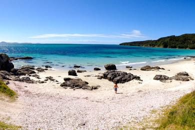 Sandee Rangiputa Beach Photo