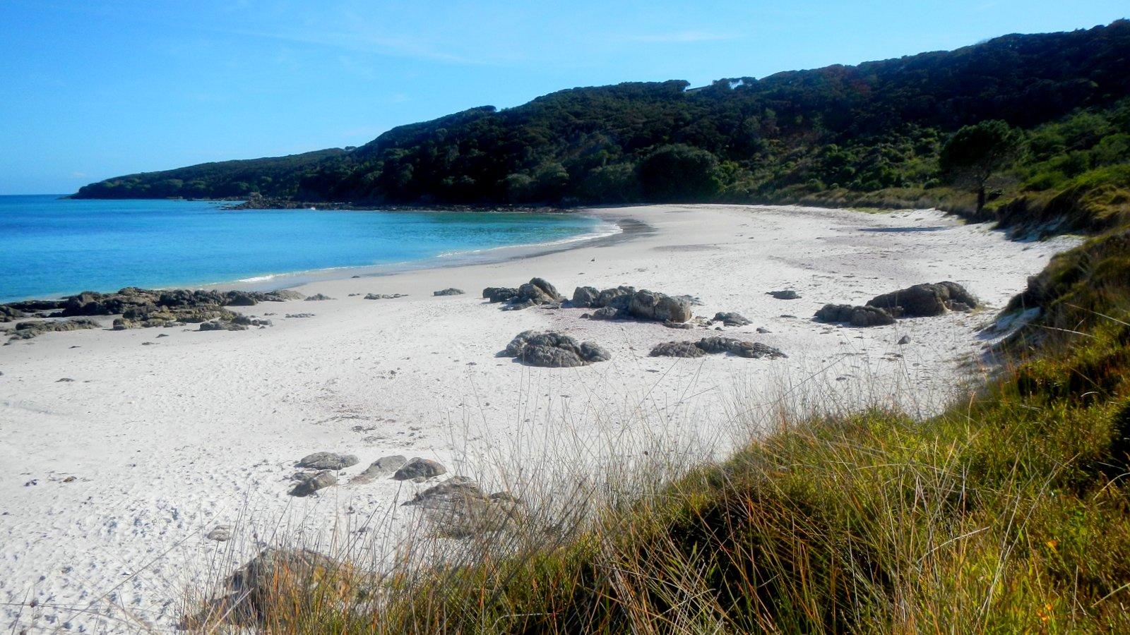 Sandee - Rangiputa Beach