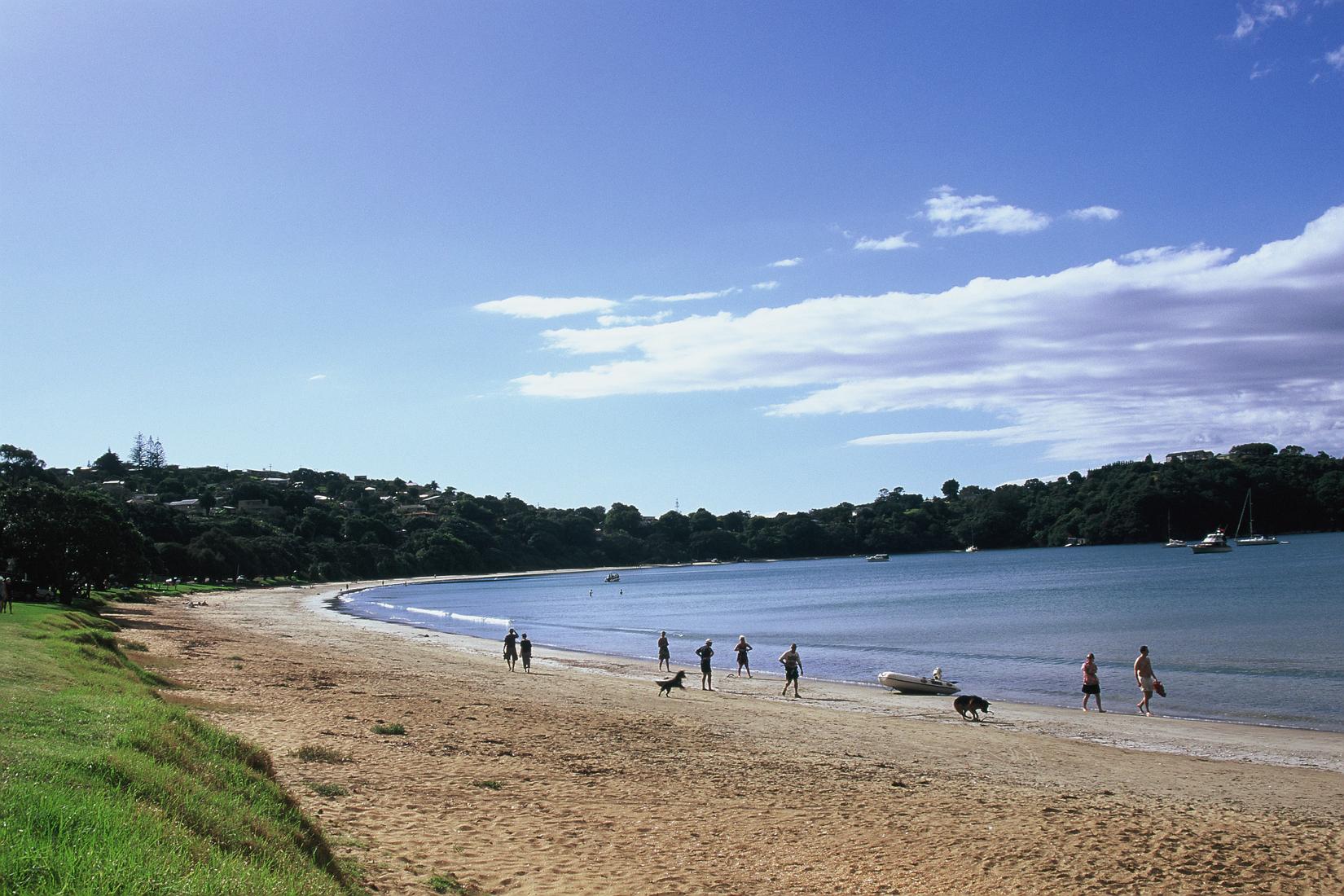 Sandee - Oneroa Bay Beach