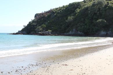 Sandee - Oneroa Bay Beach