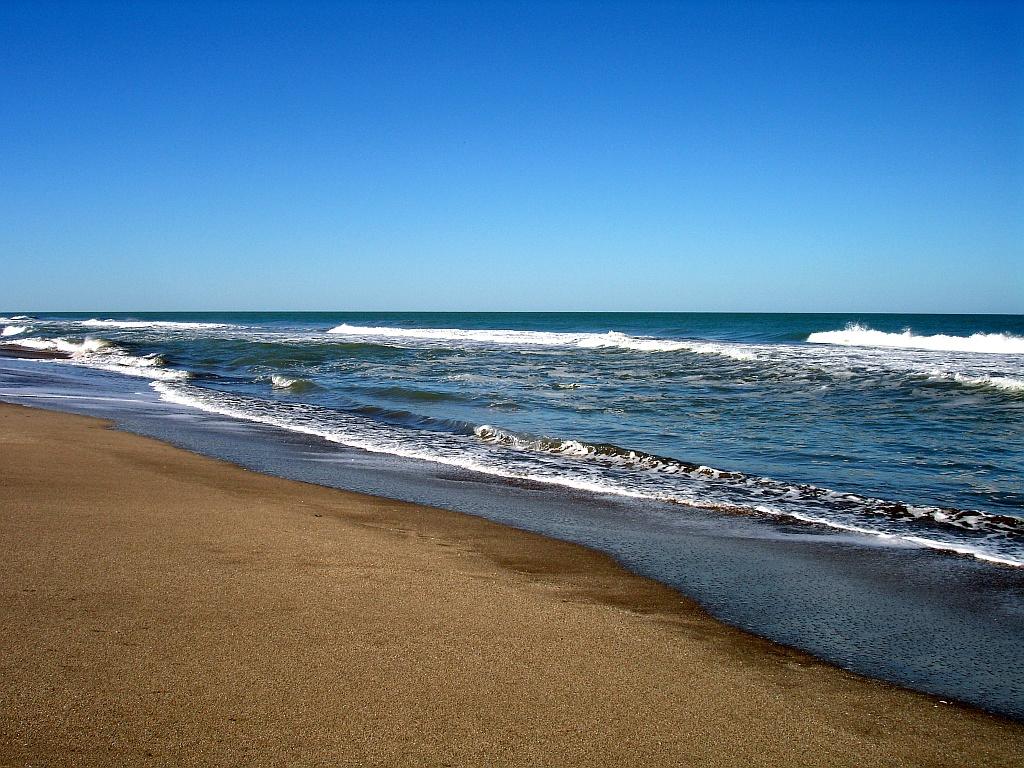 Sandee - HomePage / Costa del Este