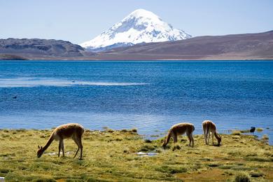 Sandee - Chungara Lake