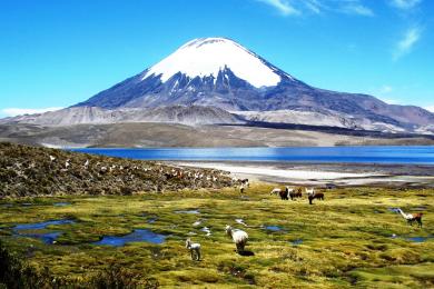 Sandee Chungara Lake Photo