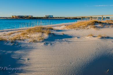 Sandee Alabama Point Beach